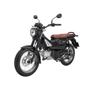 Xe Máy YAMAHA pg-1 FI New 2024