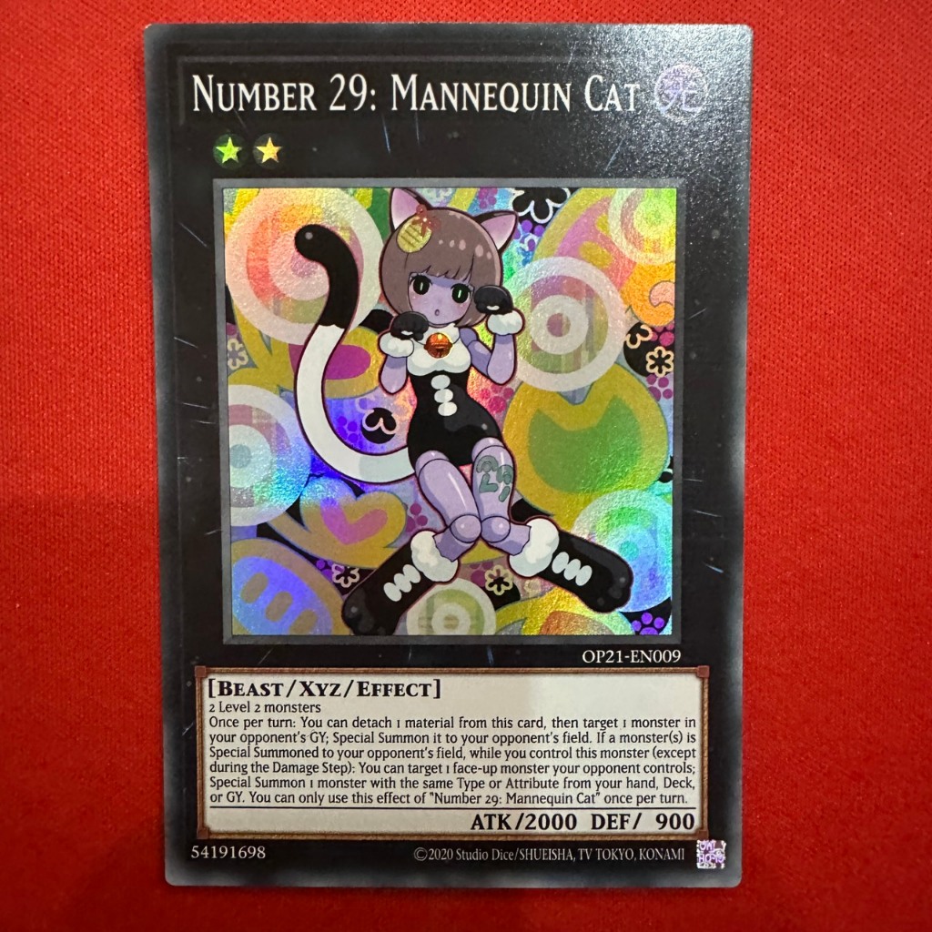 Number 29: Mannequin Cat