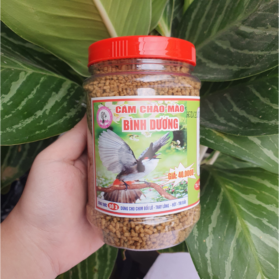 Cám chim chích chòe, than lửa Binh Dương - 400gr