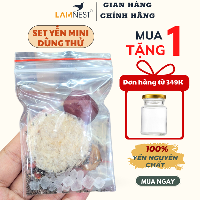 Set tổ yến sào mini - yensaocaocaplamnest