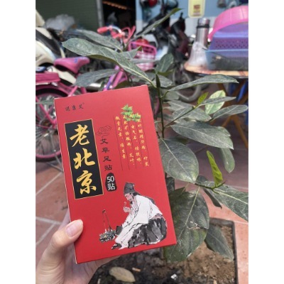 Hộp 50 miếng dán ngải cứu thải độc bàn chân - T5