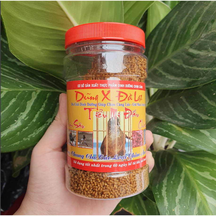 Cám Dũng X Đà Lạt cho chim Tiểu mi đấu