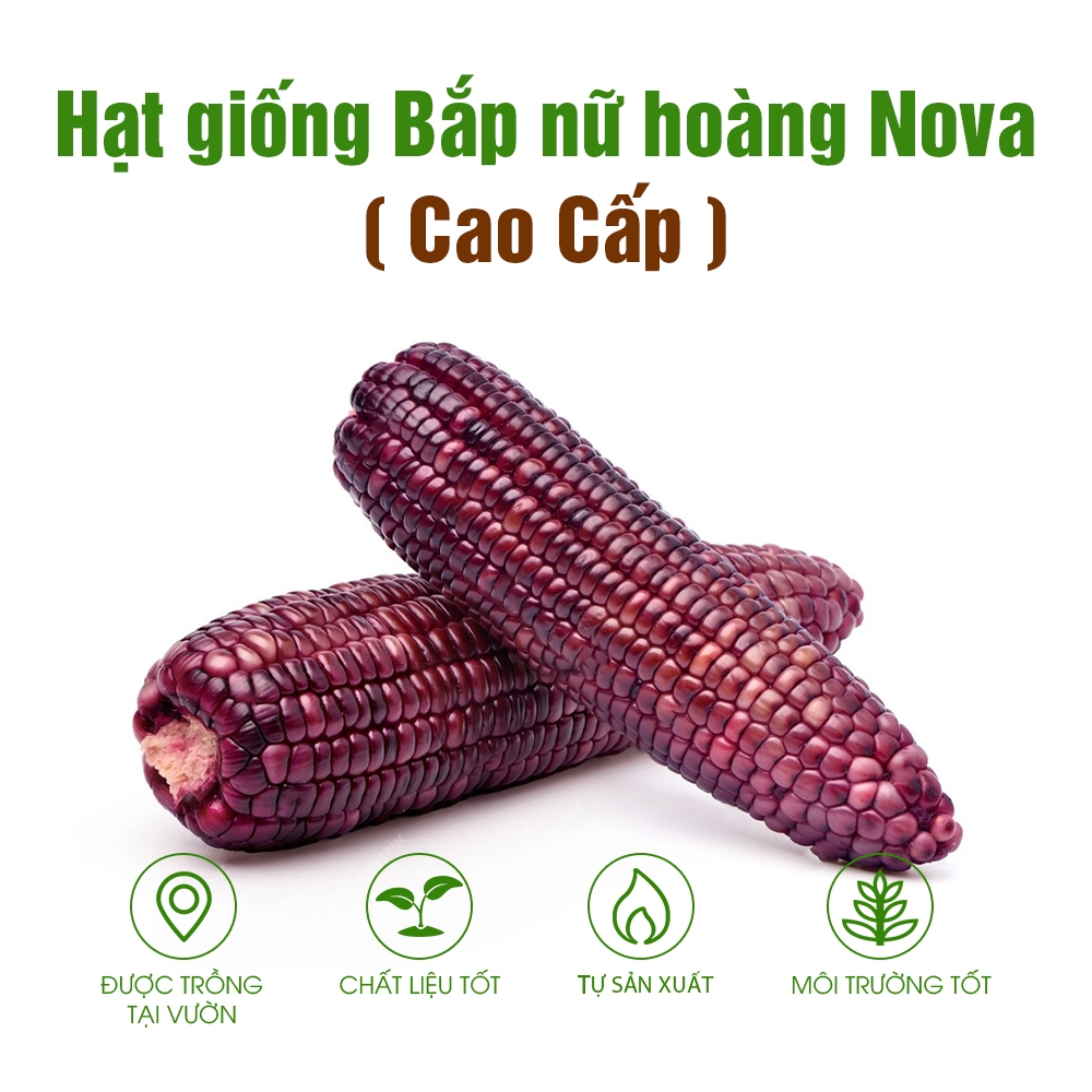 Hạt lưu hương Bắp giữ thơm lâu cho quần áo polo, Áo polo nam nữ phối màu cách điệu