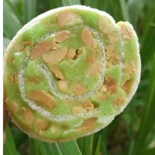 Kẹo DỪA CUỘN BÁNH Phồng Bến Tre-500gram