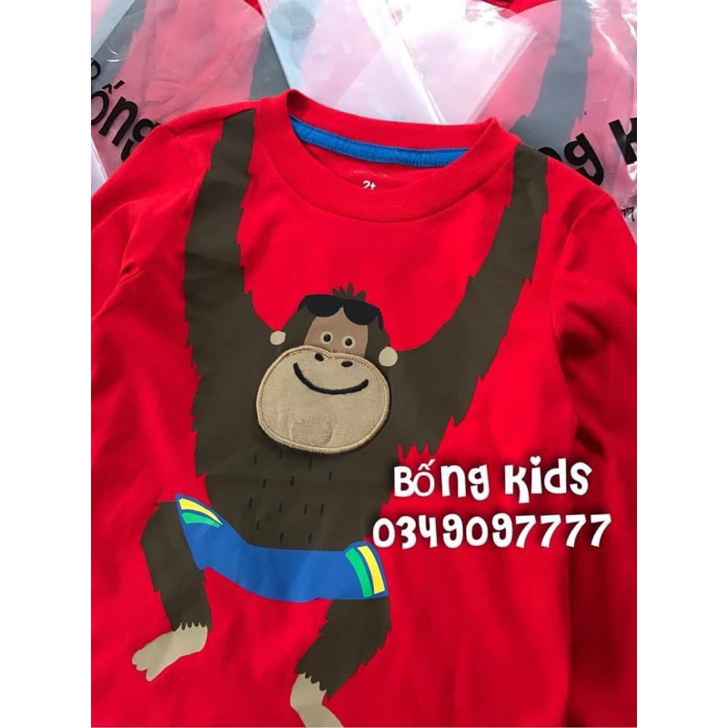 Áo Thu Bé Trai Khỉ Ct