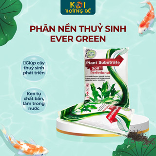 Phân nền thuỷ sinh Ever Green Plant Substrate Soil 5kg