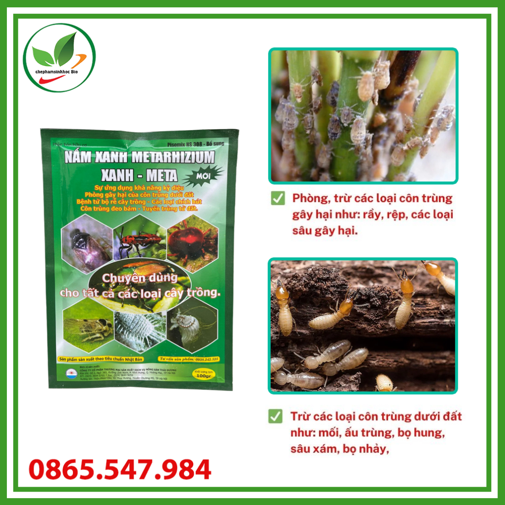 Chế Phẩm Sinh Học Nấm Xanh Metarhizium. Chế phẩm vi sinh trừ sâu, bọ trĩ, nhện đỏ, sùng đất sinh học. Gói 100g