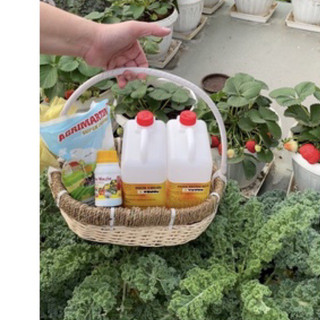 Bộ phân bón cho dâu tây, dưa, cây ăn trái giai đoạn ra hoa đậu quả