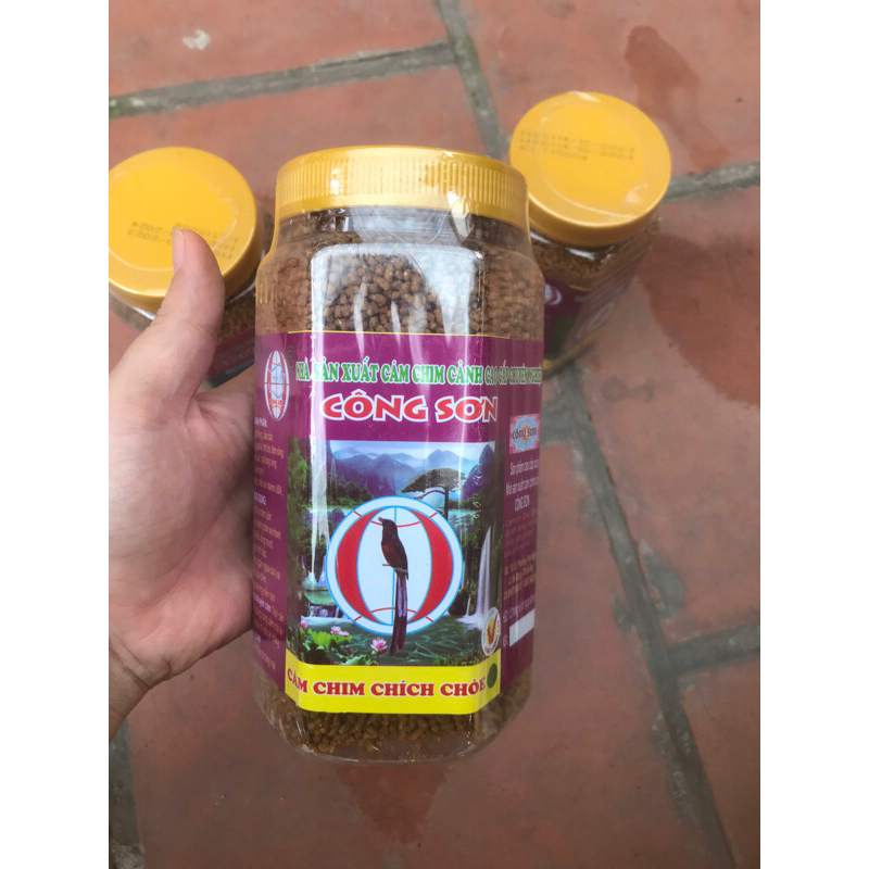 Cám Chim Chích Choè Than, Lửa ,Công Sơn 500g
