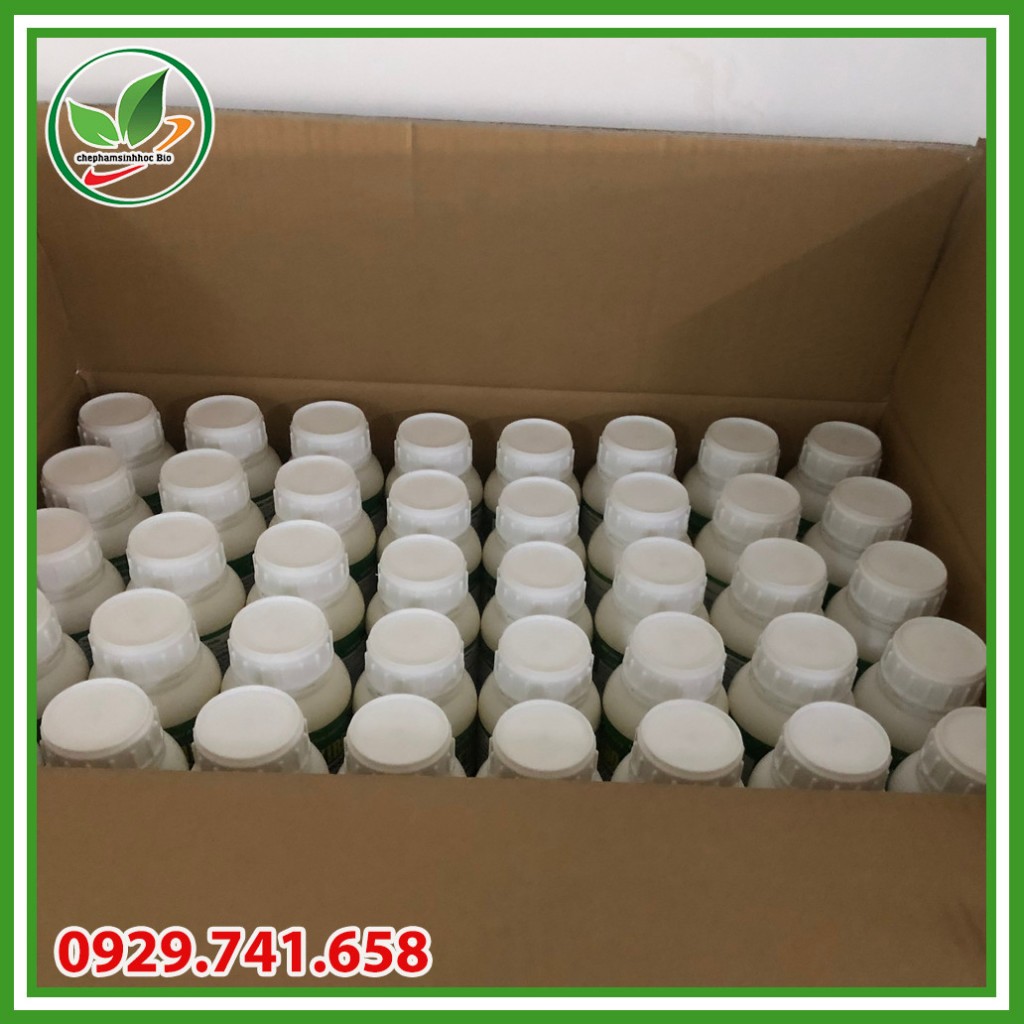 Siêu CanXiBo chông nứt thối. Chai 500ml