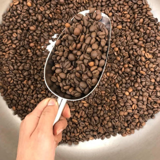 Cà phê Hạt Robusta rang mộc 100% nguyên chất (Loại 1000kg)