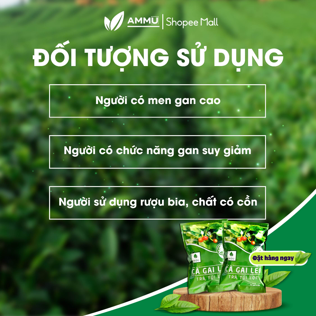 Trà cà gai leo túi lọc SADU thảo mộc giúp mát gan thanh lọc cơ thể túi 250g