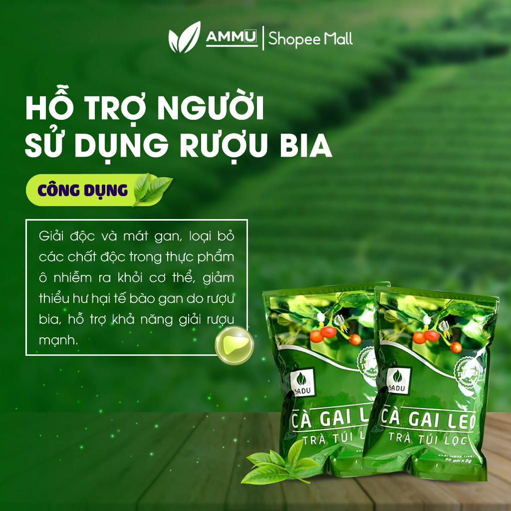 Trà cà gai leo túi lọc SADU thảo mộc giúp mát gan thanh lọc cơ thể túi 250g