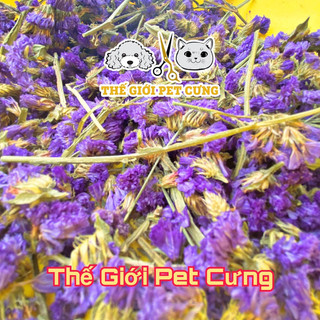 Hoa lưu ly giúp an thần giải nhiệt hamster
