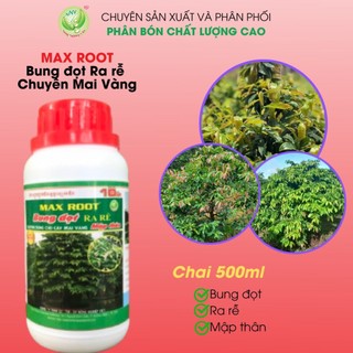 Phân bón cho mai vàng bung đọt ra rễ max root chai 0,5 lít - bung tược mạnh đẻ nhánh nhanh, xanh lá, dày lá
