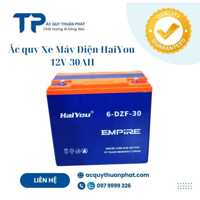 Bình ắc quy xe máy điện Trung Quốc  12V-30AH