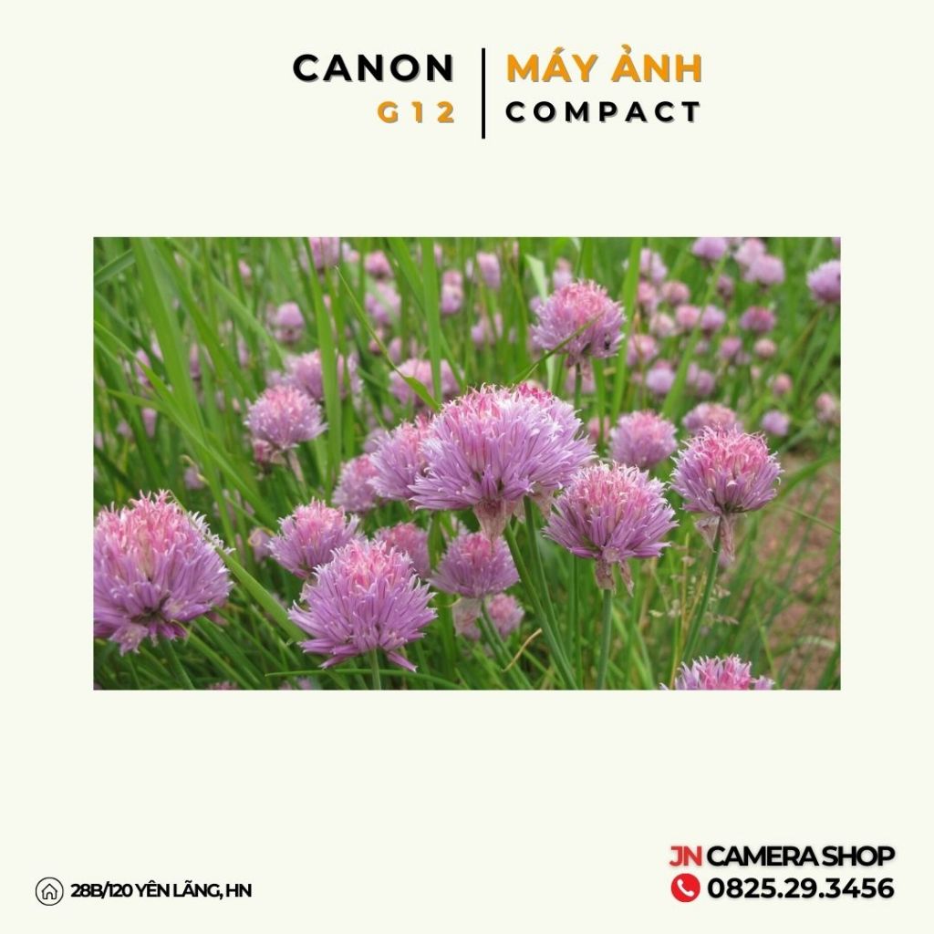 Máy ảnh Compact Canon Powershot G12