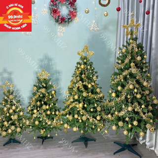 Cây Thông Noel 1m2, 1m5, 1m8 (Hình Thật) Hàng Xuất Khẩu Trang Trí Giáng Sinh Đầy Đủ Phụ Kiện Và Đèn Led
