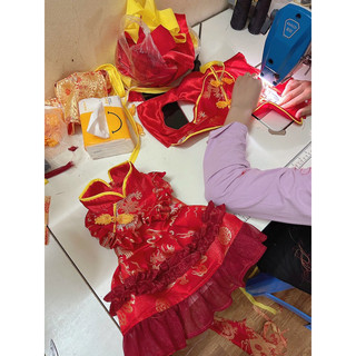 Váy gấm Tết cho thú cưng