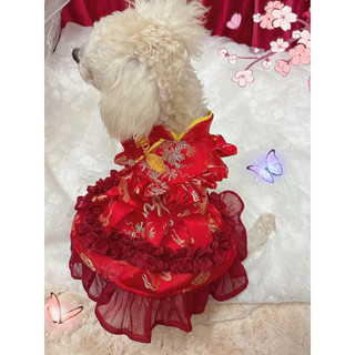 Váy gấm Tết cho thú cưng