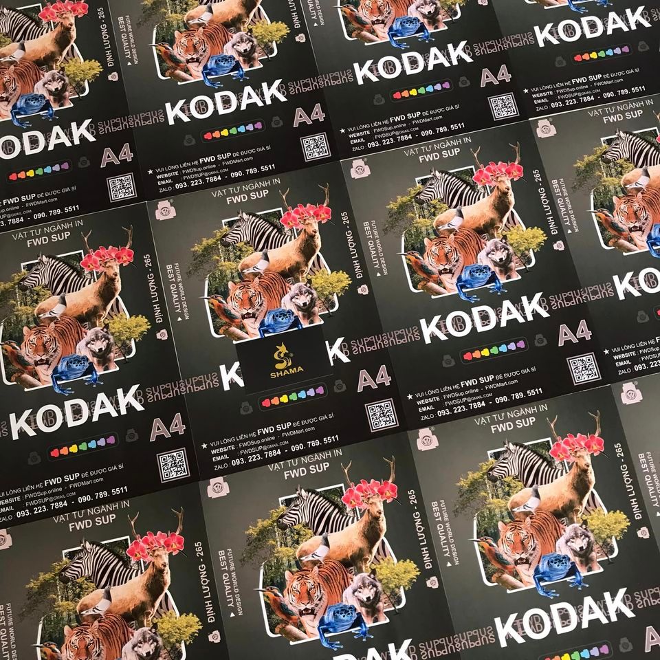 GIẤY IN KODAK - FWD