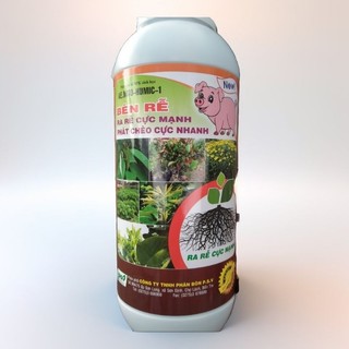 Phân bón Bén Rễ kích rễ cực mạnh ra nhiều rễ cám bung chồi nhú đọt xanh cây chai 1lít