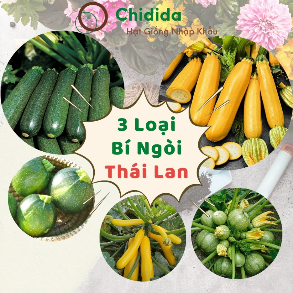 Hạt giống bí ngòi Chidida bí ngòi tròn, bí ngòi xanh, bí ngòi vàng Thái Lan dễ trồng gói 2gr