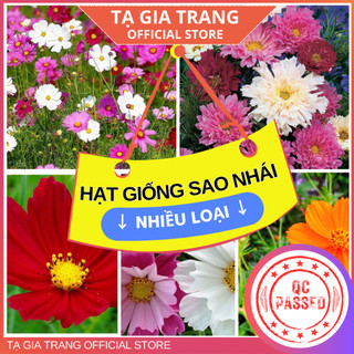 Hạt giống hoa sao nhái (hoa vũ trụ vườn) các loại