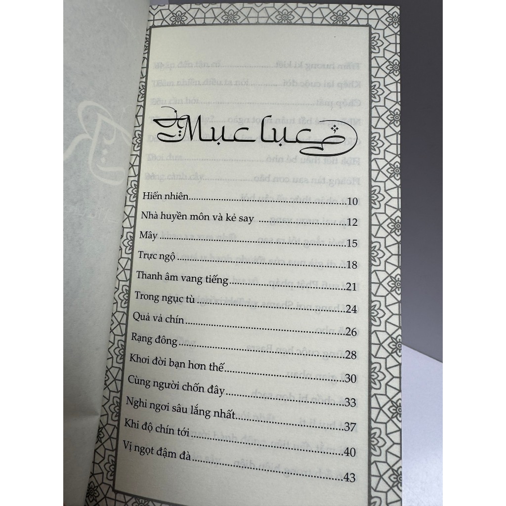 Sách - Rumi nhà huyền môn và kẻ say - Rumi - Coleman Barks dịch tiếng Anh - Hà Thủy Nguyên dịch - Book Hunter - NXB Văn