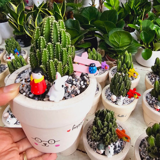 Thanh sơn mix CHẬU VẼ để bàn
