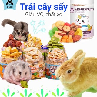 Trái cây, Dừa, Kiwi, Đào, Xoài, Thơm sấy cho Hamster, Thỏ và Bọ, Chinchilla - JONSANTY