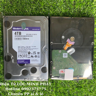 Ổ Cứng Chuyên Dùng Cho Camera Karaoke Máy Tính Western Digital Purple 500G 1TB 2TB 3TB 4TB Tím Nk - Bảo hành 2 năm