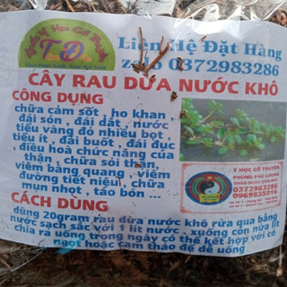 100g cây rau dừa nước khô