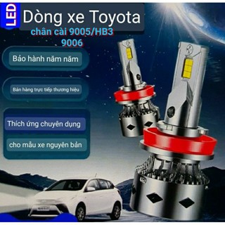 Bóng đèn bi cầu Laser H11 bi cầu chân H11 bóng đèn 9005 canbus giá 2 bóng
