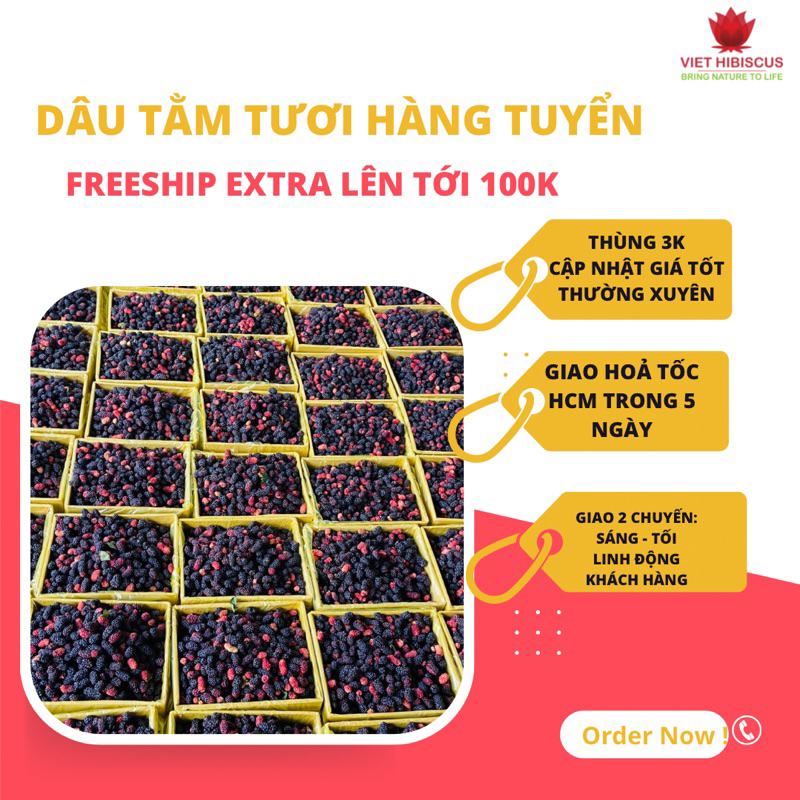 Dâu tằm ngâm siro - Loại ngon tươi mới mỗi ngày