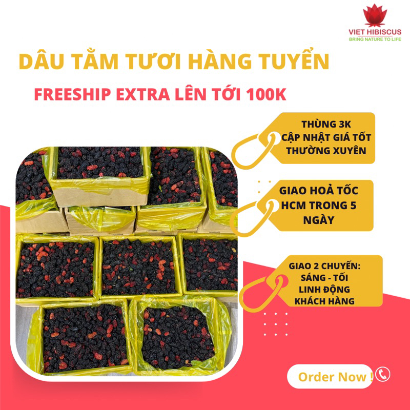 Dâu tằm ngâm siro - Loại ngon tươi mới mỗi ngày