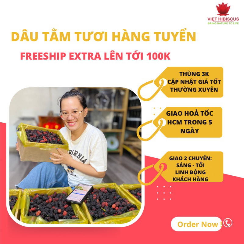 Dâu tằm ngâm siro - Loại ngon tươi mới mỗi ngày