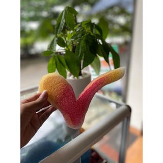 Chân Rồng - Chân Phượng dẻo (rồng phượng cưới hỏi)