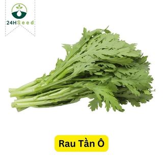 Hạt giống rau tần ô gói 20 gam 24HSeed