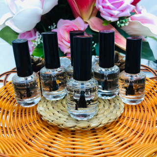 Sơn bóng mau khô P&P nắp đen 14ml