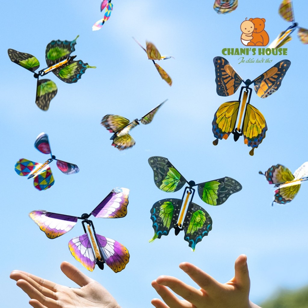 ĐỒ CHƠI DIY JOAN MIRÓ TÔ MÀU CÓ THỂ CHUYỂN ĐỘNG BUTTERFLY