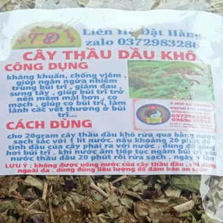 100g cây thầu dầu khô