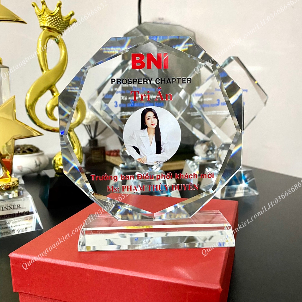 Cúp vinh danh pha lê k9 bát giác