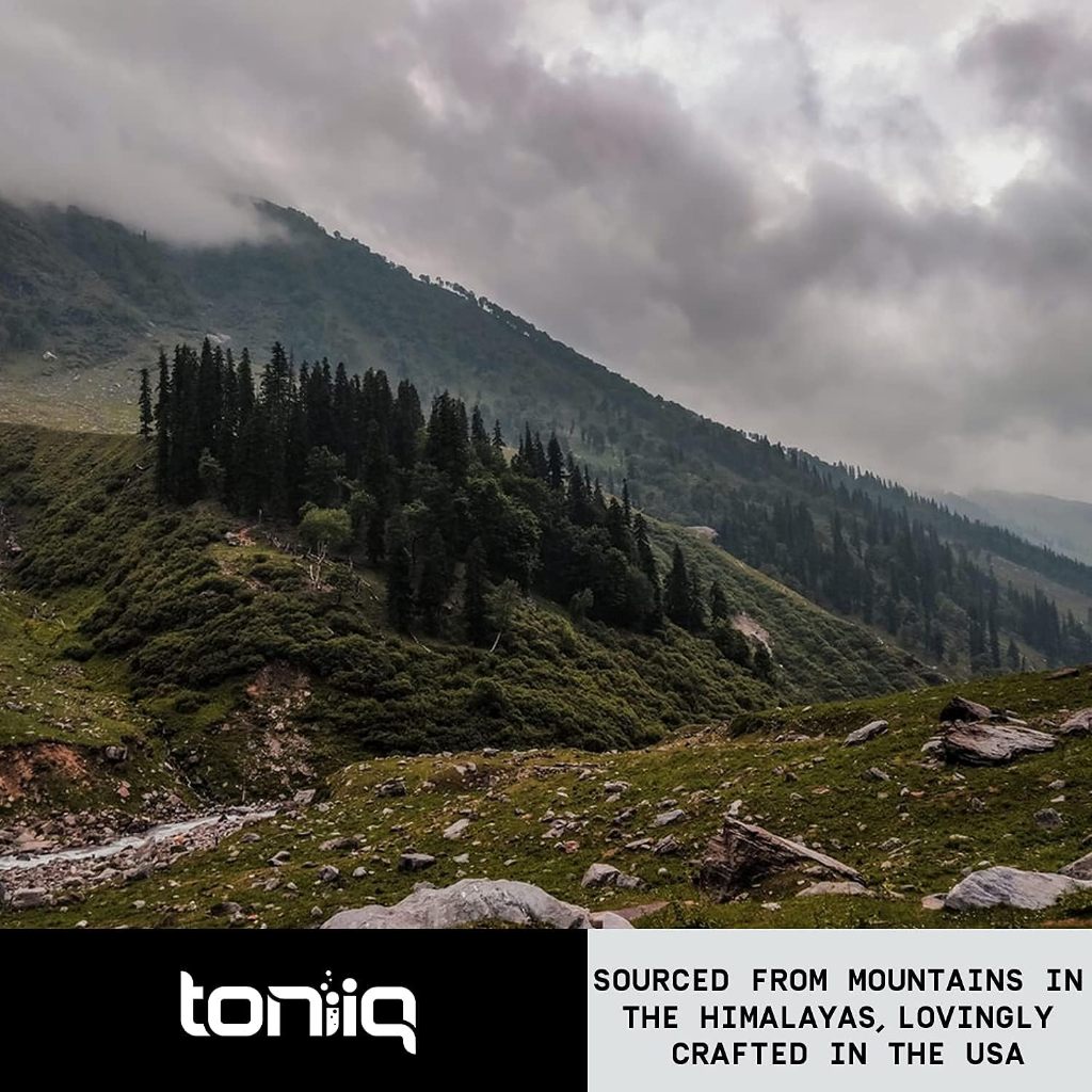 Viên Berberine HCL Giảm Mỡ Máu Cholesterol, Ổn định Đường Huyết, Huyết Áp, Hỗ trợ Tim Mạch - Citrus Bergamot - Toniiq