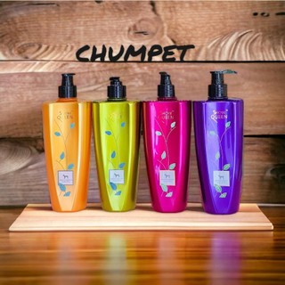 Sữa tắm hương nước hoa cho chó mèo Showqueen, Sữa tắm cao cấp cho thú cưng chai 500ml - Chumchumpet