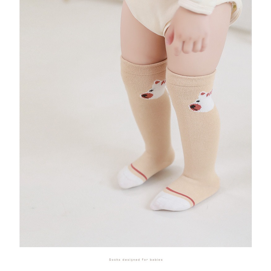 Tất vớ đùi cho bé trai bé gái nhiều mẫu họa tiết gấu dễ thương hàng NemoBaby cao cấp
