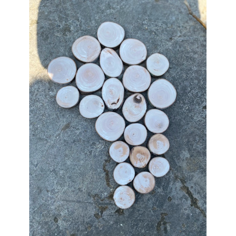 Khoanh gỗ cây lát