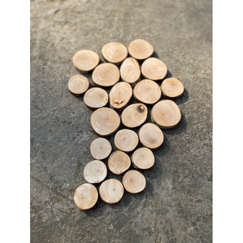 Khoanh gỗ cây lát