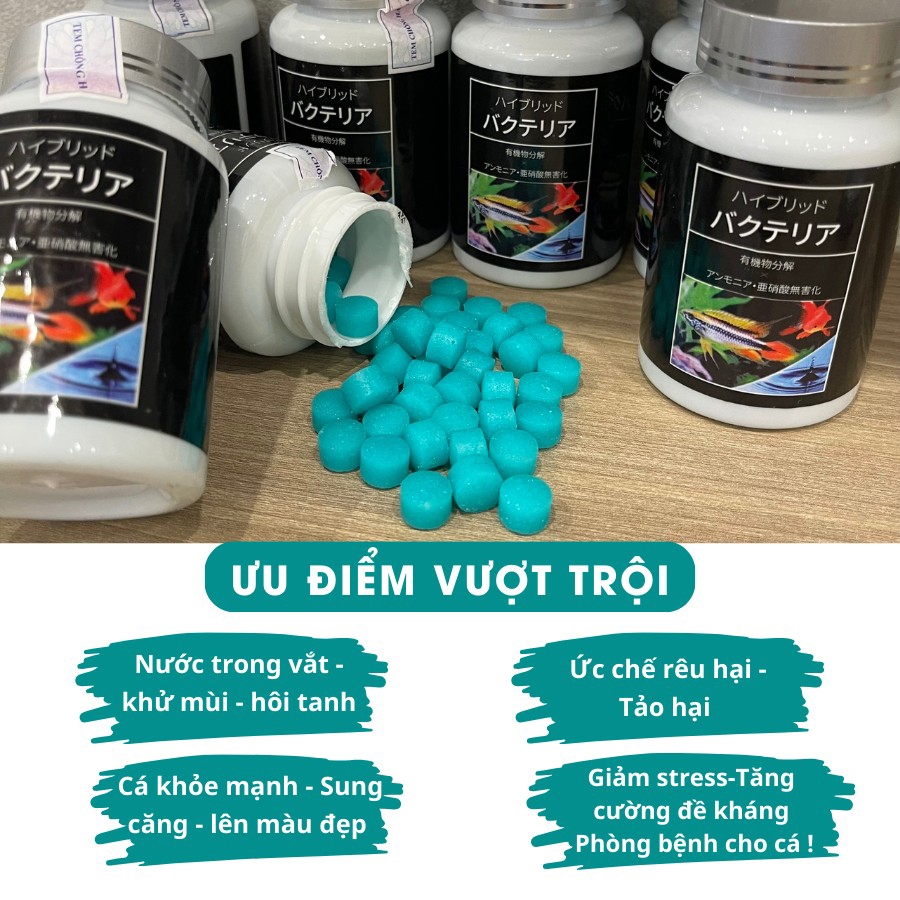 [Thế hệ mới] Vi sinh bể cá lọ 100 viên ( vi sinh bể cá làm trong nước, giảm độc tố, cân bằng PH)