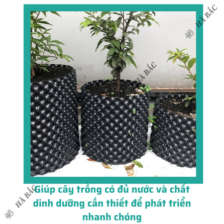 Bầu Ươm Cây Đủ Các Kích Thước  Dùng cho các loại cây, phát triển rễ cám -